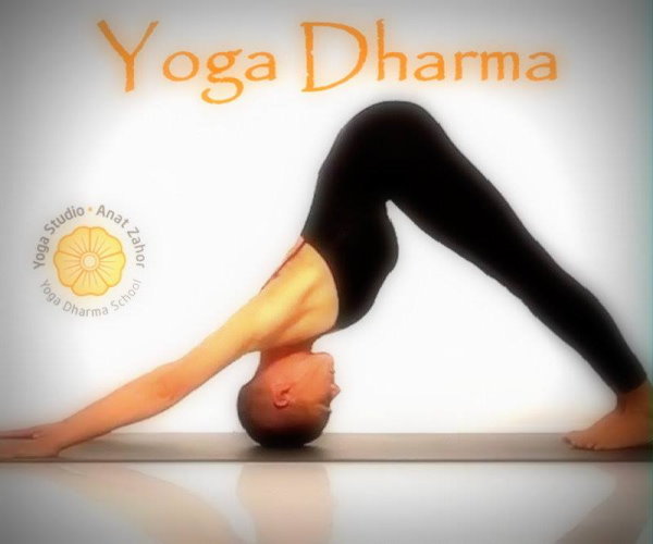 anat zahor yoga dharma yoga studio