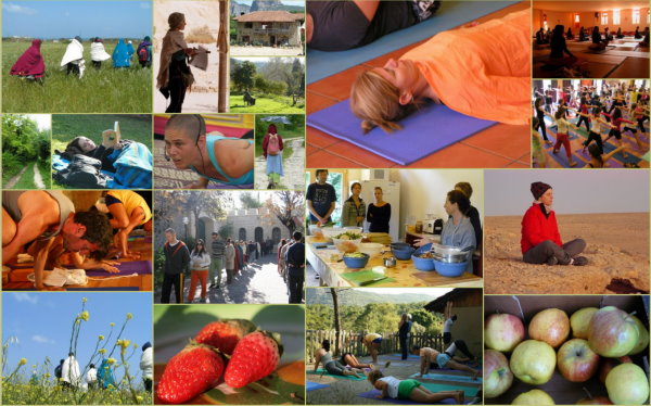 Yoga Dharma retreats and workshops